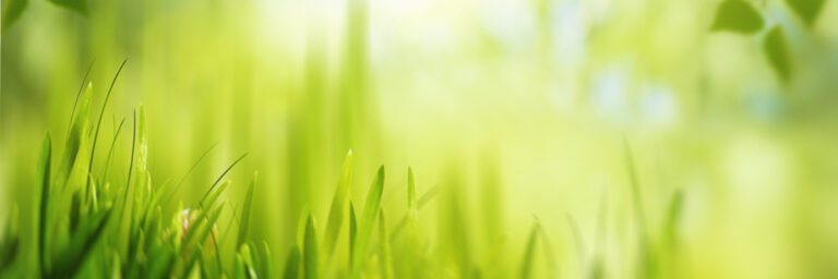 Product Spotlight: Natural Vitamin C Supplement